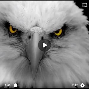 Meet your Posher, Ronald